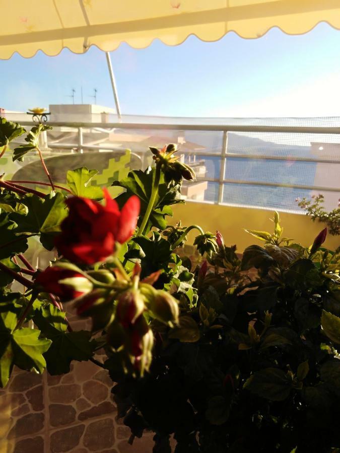 Down Town Luxury Apartment Saranda Extérieur photo