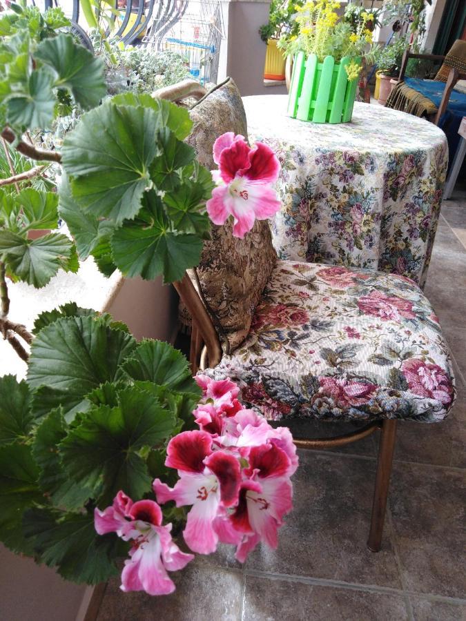 Down Town Luxury Apartment Saranda Extérieur photo